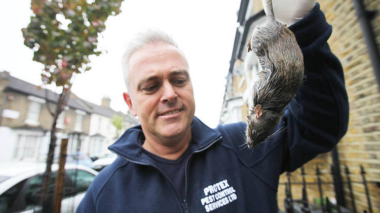 From Wild Britain 

DIRTY BRITAIN 
4th June 2013 on ITV 

Pictured: Pest Controller Jim England

The dirty secrets about the way modern Brits live are revealed by the filthy work of the men and women who clean up after us.  The series graphically shows th