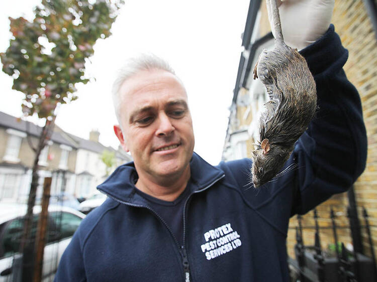 From Wild Britain 

DIRTY BRITAIN 
4th June 2013 on ITV 

Pictured: Pest Controller Jim England

The dirty secrets about the way modern Brits live are revealed by the filthy work of the men and women who clean up after us.  The series graphically shows th