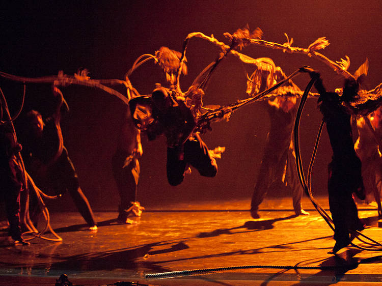 In the Mind of Igor, Akram Khan