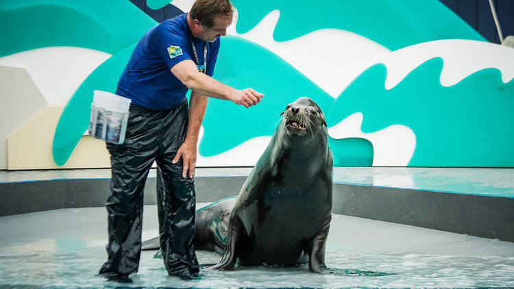 New York Aquarium