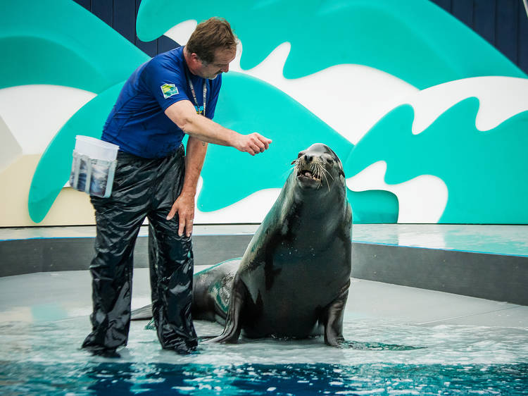 New York Aquarium