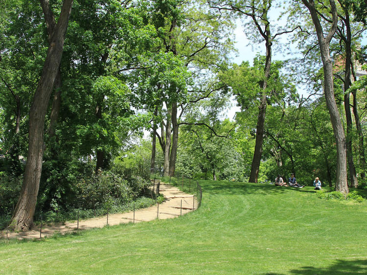 Picnics in Central Park