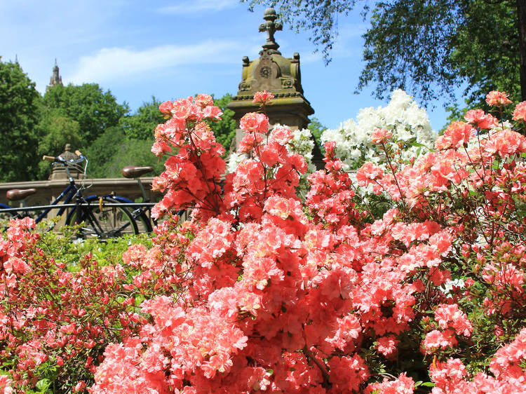 Central Park in New York, spring 2013