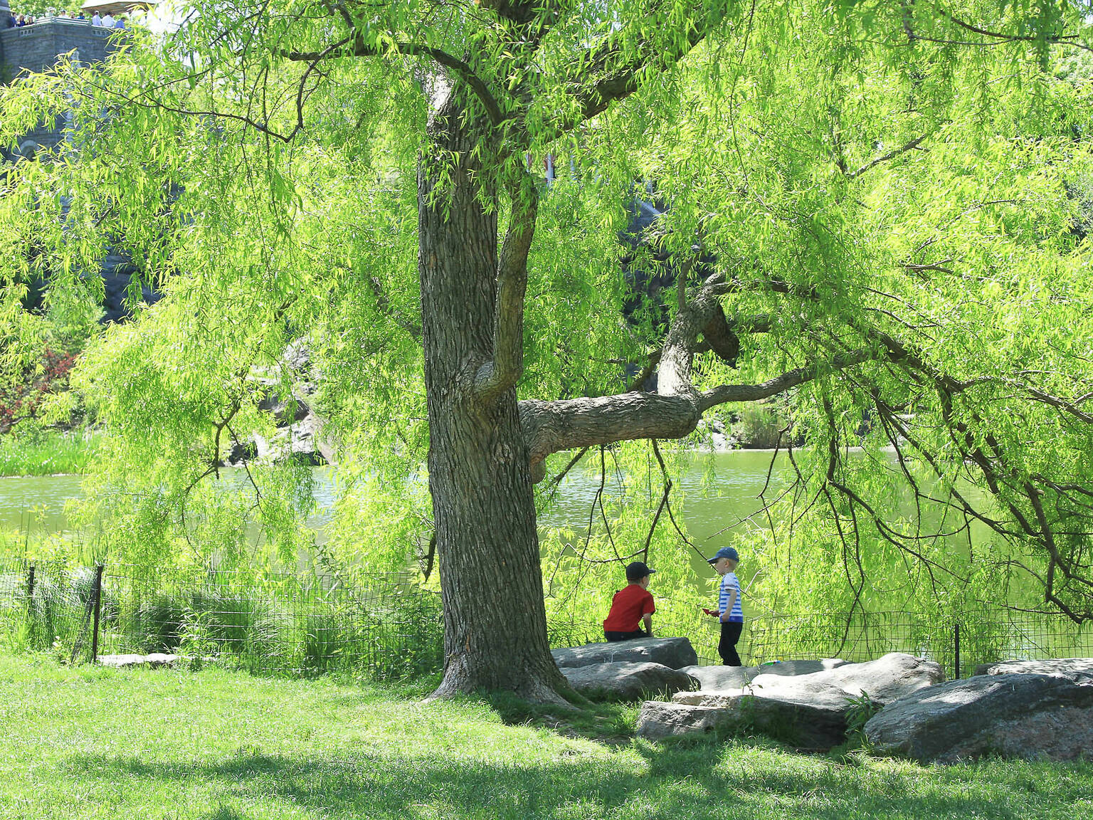 Best picnic spots in Central Park for a picturesque, outdoor meal