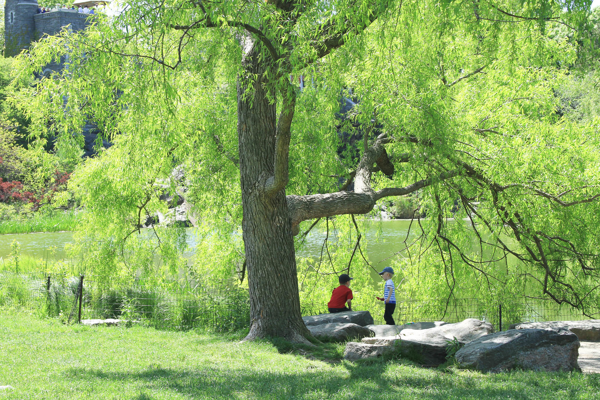 Best picnic spots in Central Park for a picturesque, outdoor meal