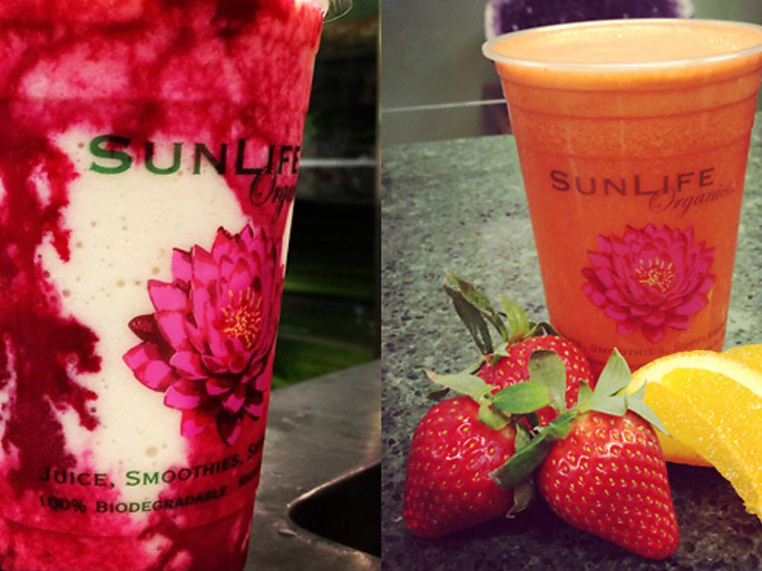 Best juice bars in Los Angeles for juices and smoothies