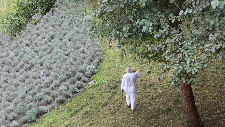 Rodeado de sauces llorones (Foto: Elsa Pereira y Nicolas Hecht)