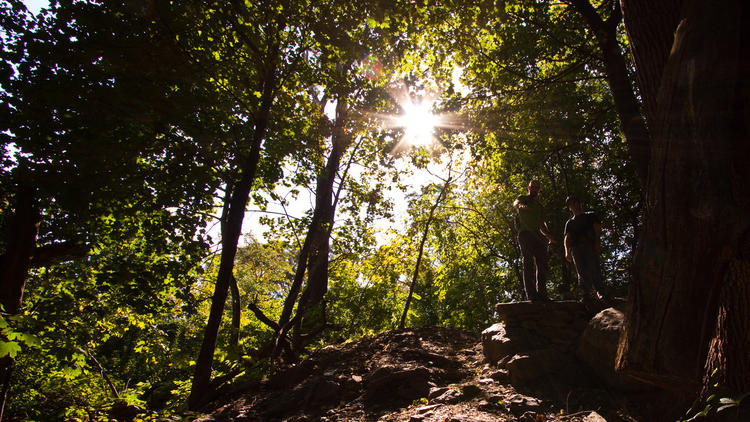 2pm-5pm—mountain bike in Harlem