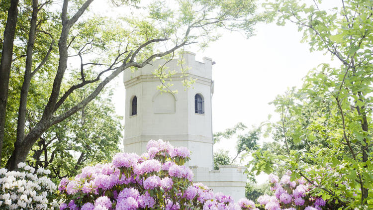 Explore the Snug Harbor Cultural Center