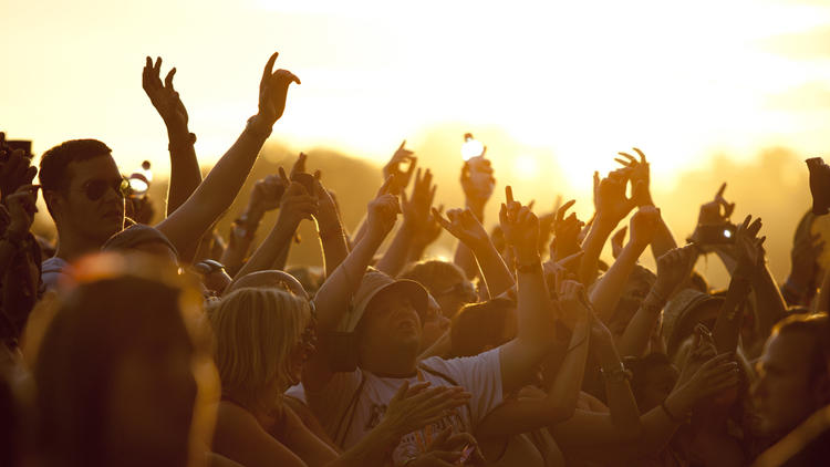 V festival crowd