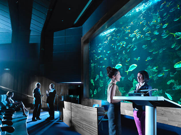 Aquarium (Donosti) Aquarium (Donosti)