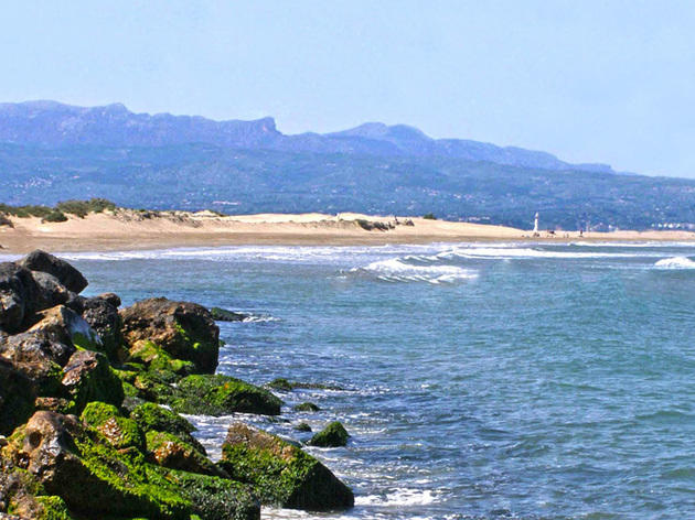 Platja del fangar