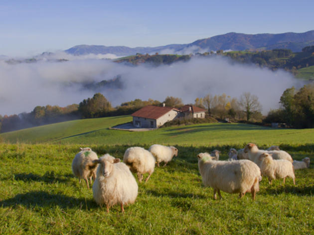 Goierri Goierri