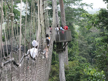 Don't miss: Kakum National Park Don't miss: Kakum National Park