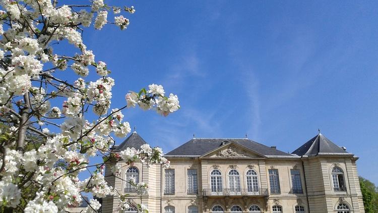 Auguste Rodin • Musée Rodin