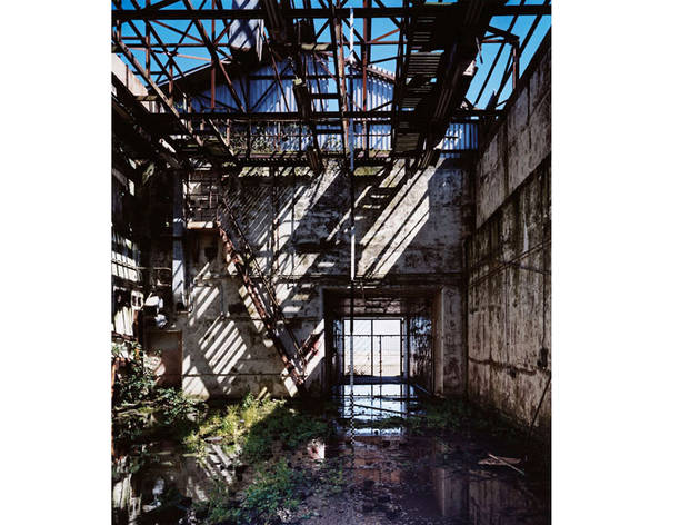 (Photograph: Courtesy 303 gallery)