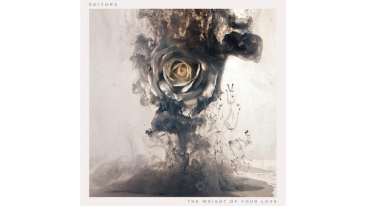 editors the weight of your love
