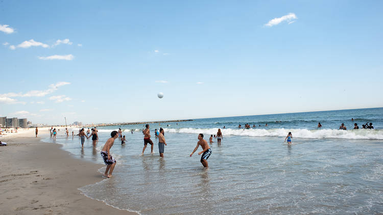 does rockaway beach allow dogs