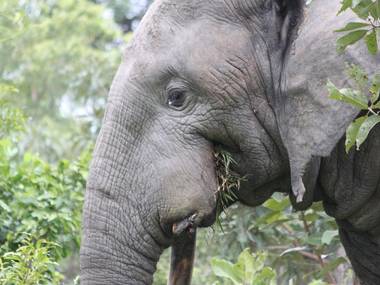 Experience wild Ghana Experience wild Ghana