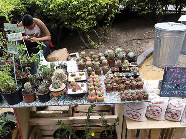 Mercado el 100 Mercado el 100