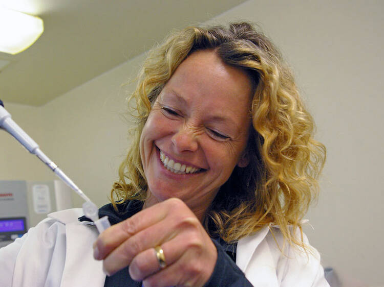 Wild Shepherdess with Kate Humble