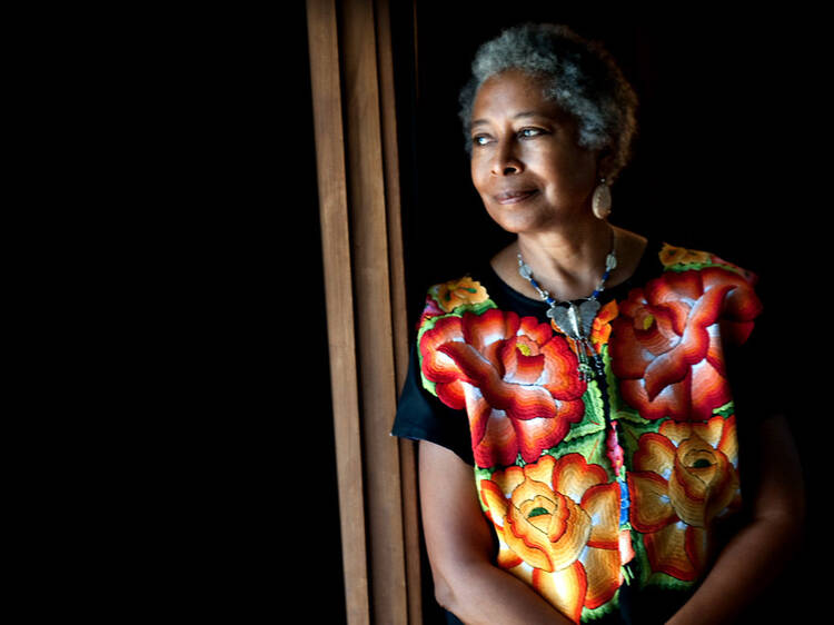 Alice Walker: Beauty in Truth