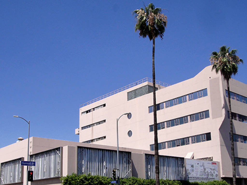 The 5 Best Hollywood Tours | Best Things to Do in Hollywood