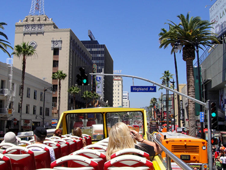 Hollywood Sightseeing and Celebrity Homes Tour by Open Air Bus