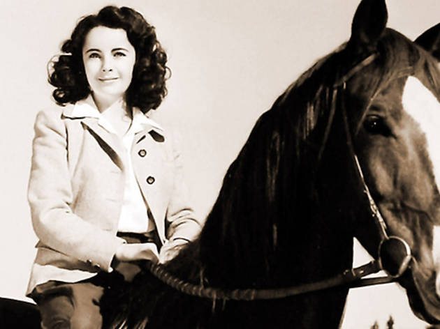 National Velvet (1944) National Velvet (1944)