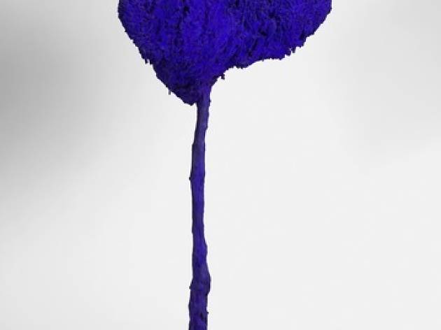 SE 71, l'arbre, grande éponge bleue SE 71, l'arbre, grande éponge bleue
