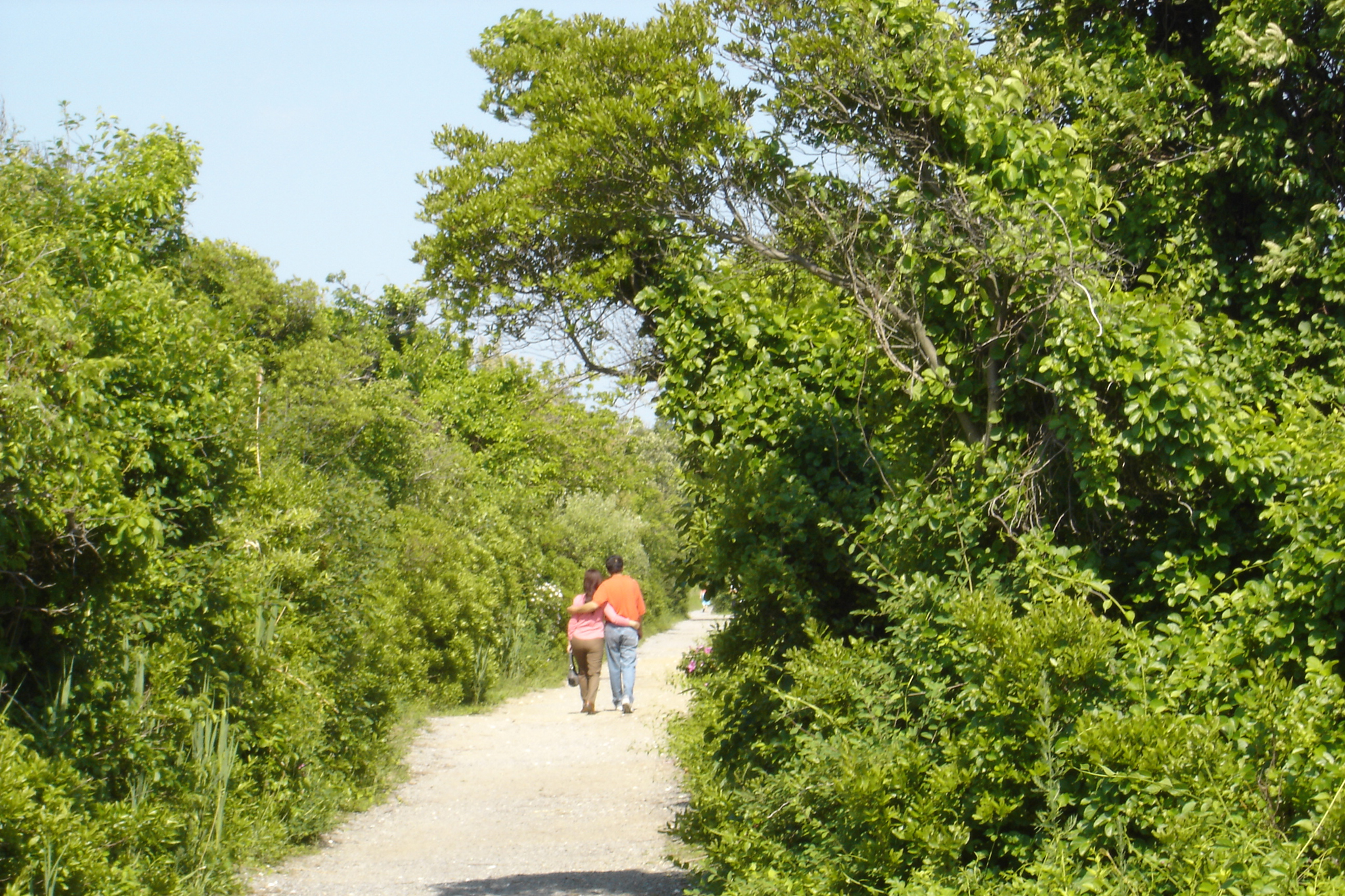 Jamaica Bay Wildlife Refuge Attractions in Queens, New York