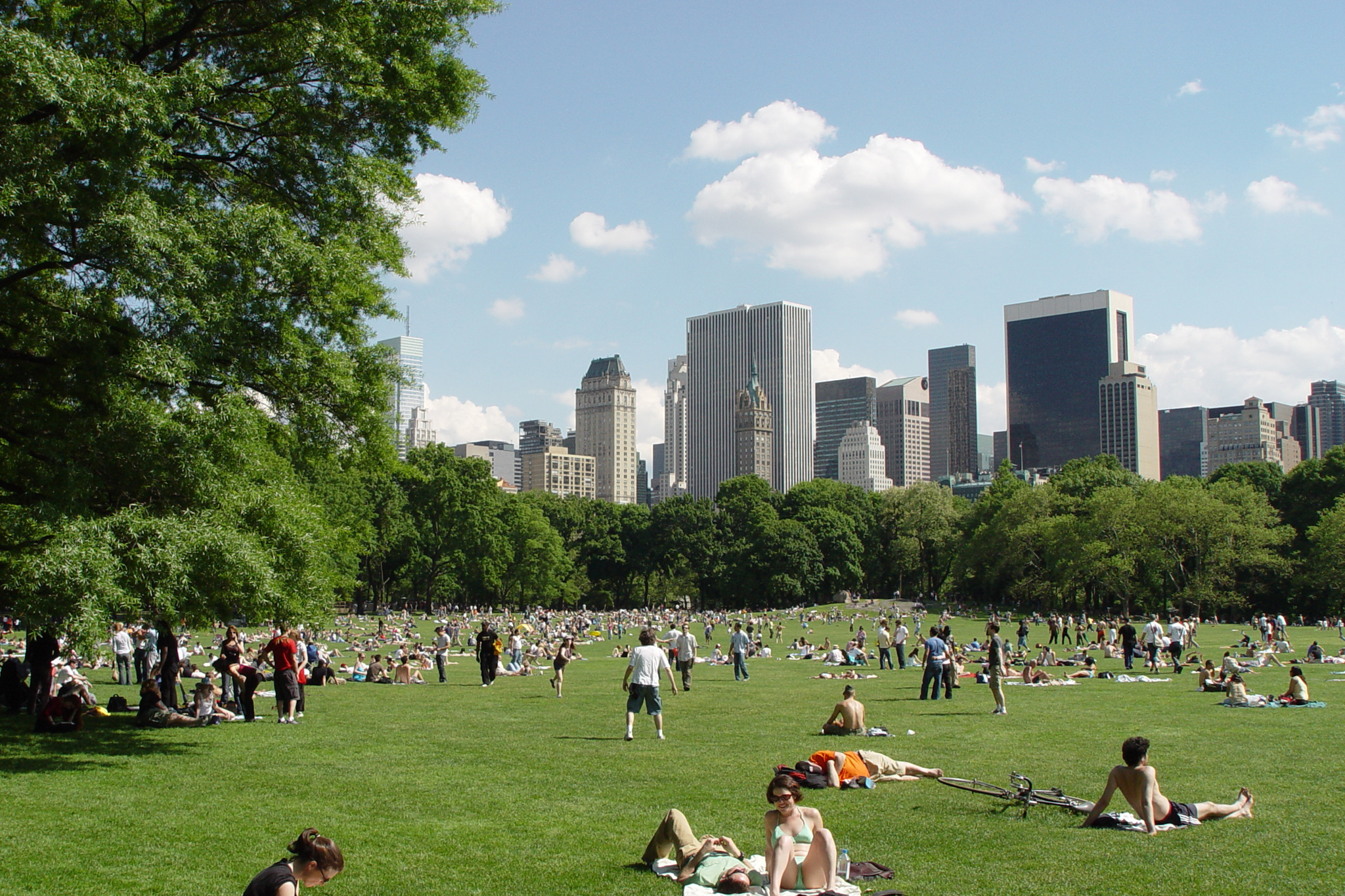 17 Best Parks in NYC for Sports, Concerts, Picnics and More