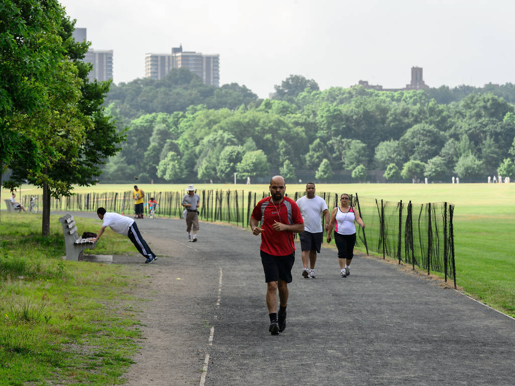 17 Best Dog Parks in New York City