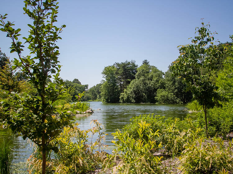 Lakeside at Prospect Park