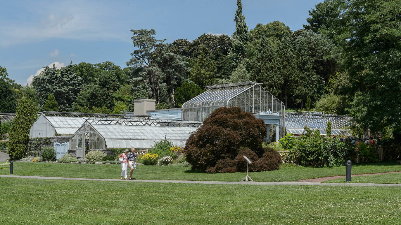 Wave Hill House Attractions in The Bronx, New York