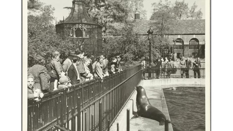 Photograph: Wurts Brothers/Courtesy of the NYPL Archives