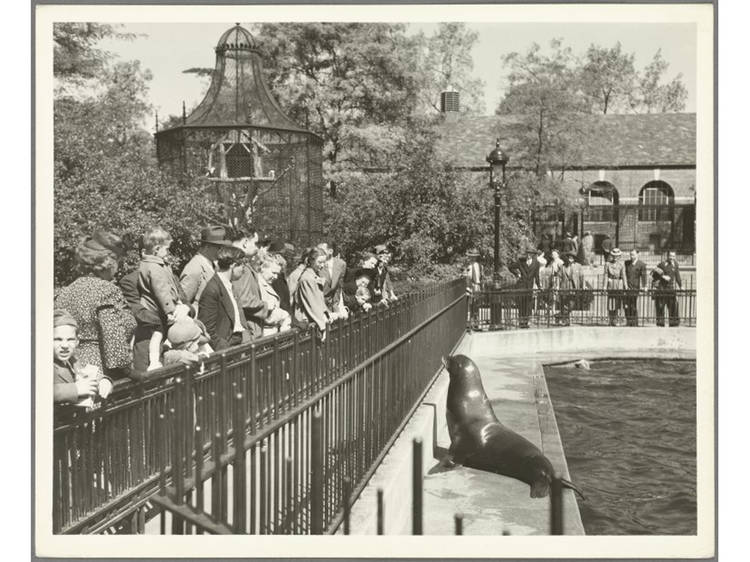 Photograph: Wurts Brothers/Courtesy of the NYPL Archives