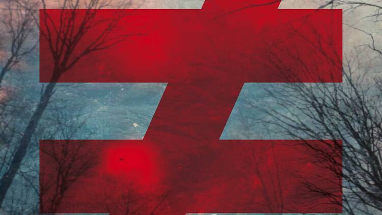 Fauve, 'Blizzard'