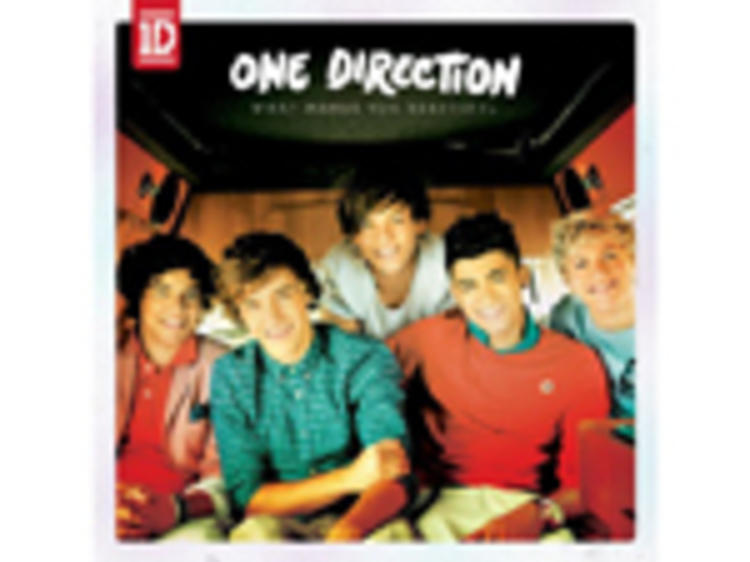 'What Makes You Beautiful' by One Direction