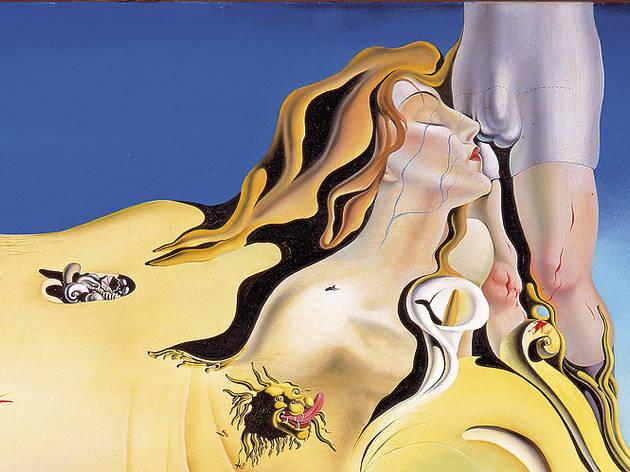 Dalí masturbador Dalí masturbador