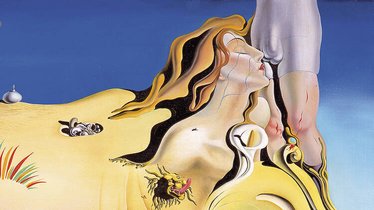 Dalí (Reina Sofia)