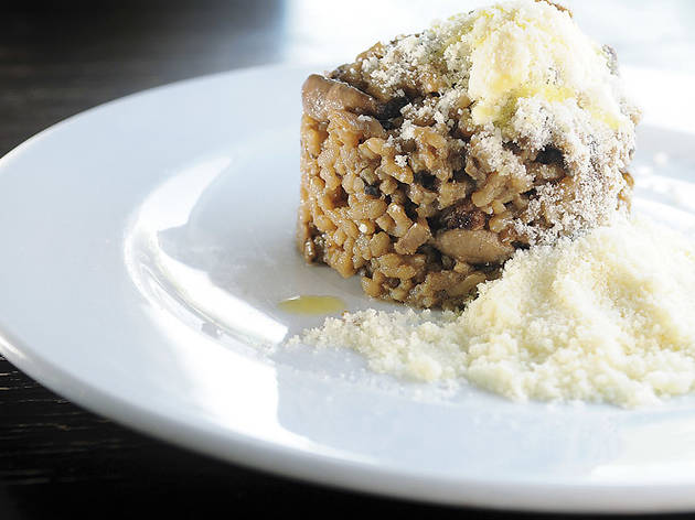 Risotto de setas Risotto de setas (Precio del plato: 6 €)