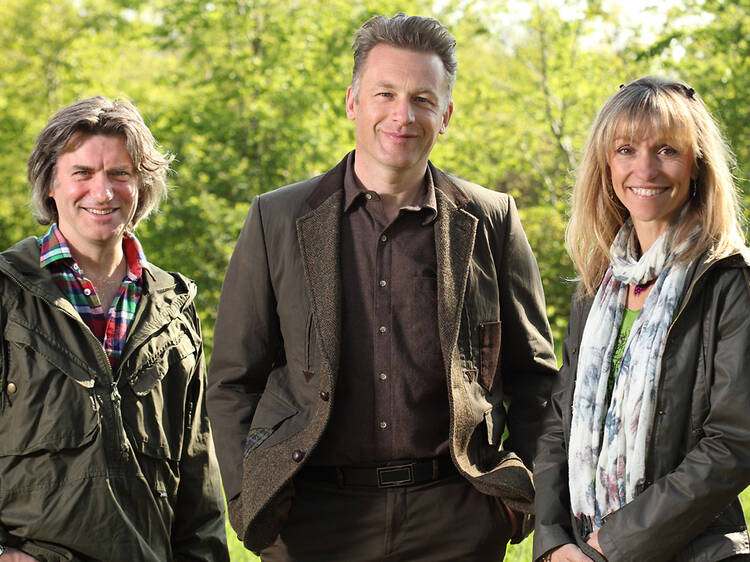 The Springwatch Guide to Butterflies