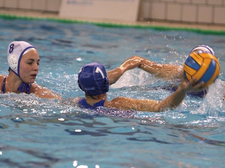 Waterpolo