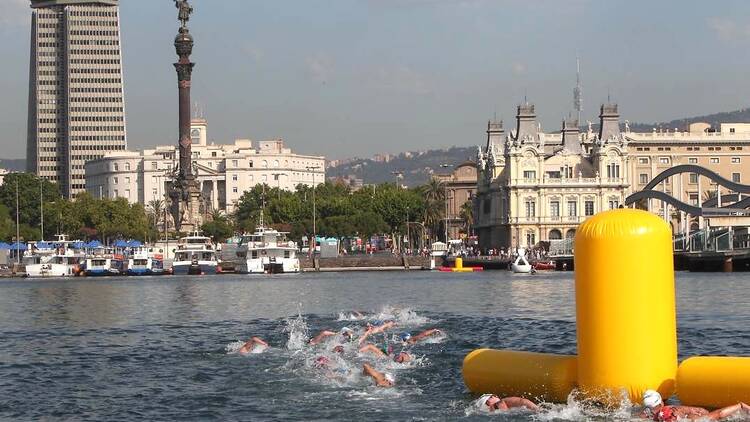 5 kilómetros en aguas abiertas