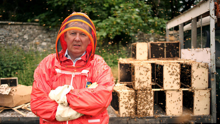 What’s Killing Our Bees? A Horizon Special