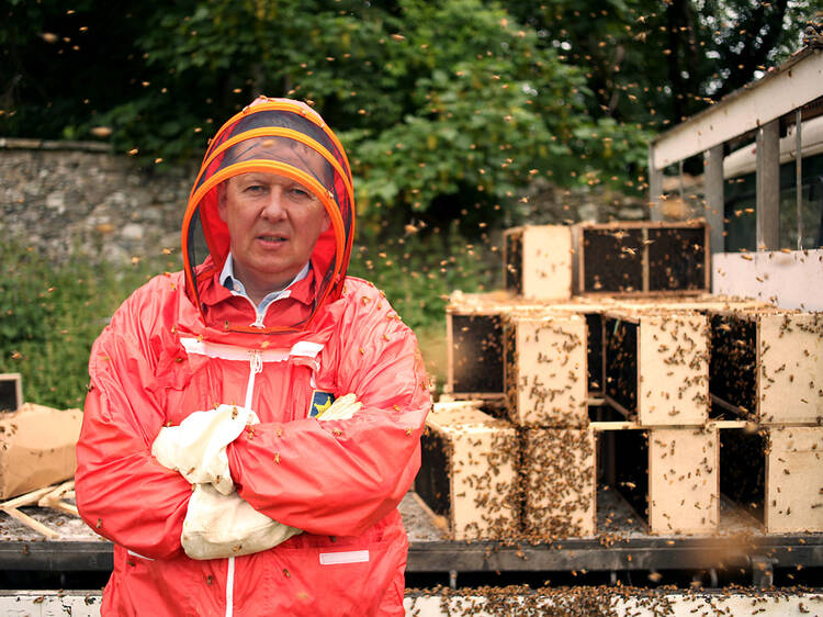 What’s Killing Our Bees? A Horizon Special What’s Killing Our Bees? A Horizon Special