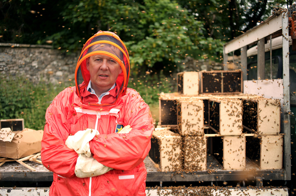 What’s Killing Our Bees? A Horizon Special review - Time Out London