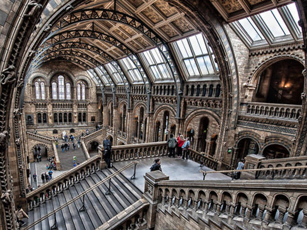 Natural History Museum 61