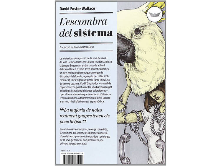 L'escombra del sistema